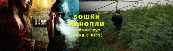 трава Нязепетровск