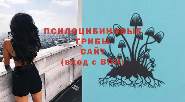 трава Нязепетровск