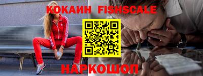 крисы Гатчина
