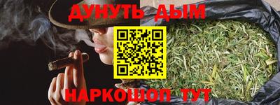 крисы Гатчина