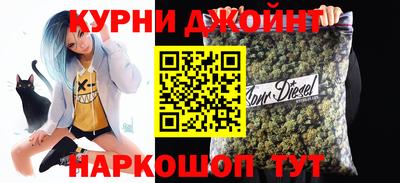 крисы Гатчина