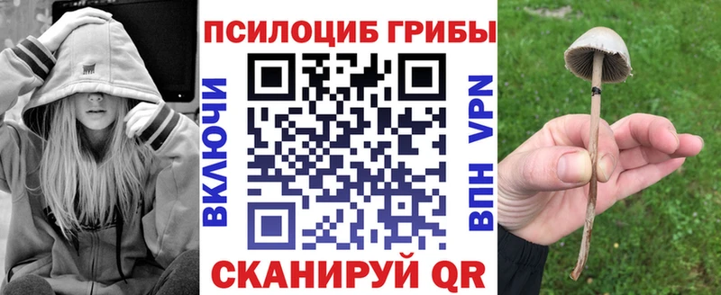 Псилоцибиновые грибы мухоморы купить наркотик Красноуфимск
