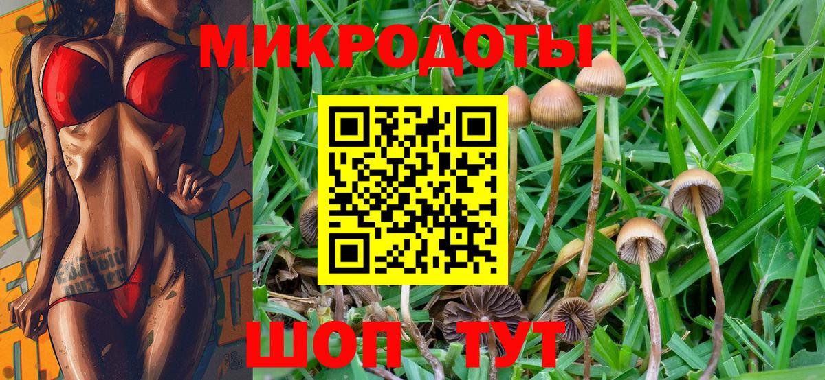 Псилоцибиновые грибы мухоморы  Вход с VPN  Галлюциногенные грибы Psilocybine cubensis  Красноуфимск 
