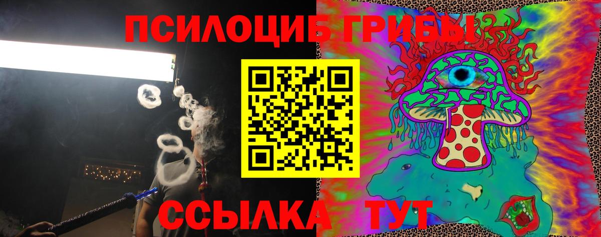 Галлюциногенные грибы Psilocybine cubensis Красноуфимск