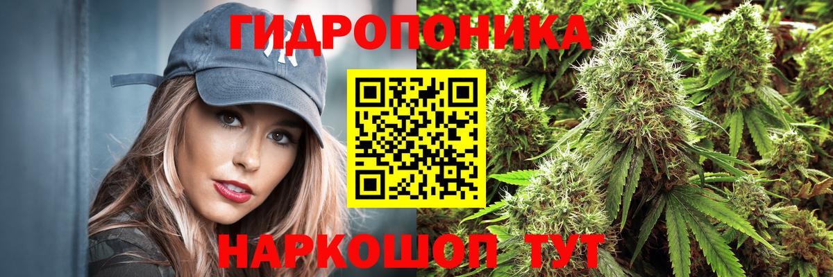 МАРИХУАНА планчик  Марихуана конопля  Шишки марихуана план  Красноуфимск  МАРИХУАНА Bruce Banner  Вход с VPN 